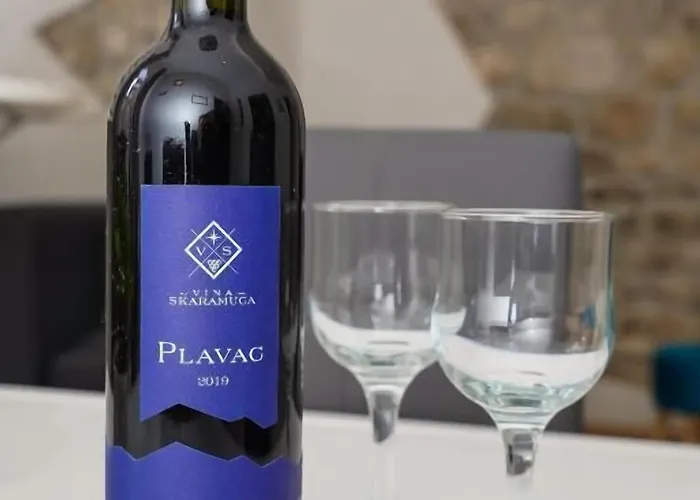 Dragazzo 特罗吉尔